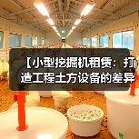 【小型挖掘机租赁：打造工程土方设备的差异化优势】（图1）