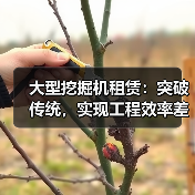 大型挖掘机租赁:突破传统,实现工程效率差异化的关键利器(图3) 大型挖掘机租赁:突破传统,实现工程效率差异化的关键利器(图3)