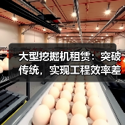 大型挖掘机租赁:突破传统,实现工程效率差异化的关键利器(图2) 大型挖掘机租赁:突破传统,实现工程效率差异化的关键利器(图2)
