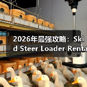 2026年最强攻略:Skid Steer Loader Rental的转向差异化揭秘(图2) 2026年最强攻略:Skid Steer Loader Rental的转向差异化揭秘(图2)