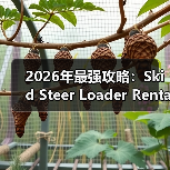2026年最强攻略:Skid Steer Loader Rental的转向差异化揭秘(图3) 2026年最强攻略:Skid Steer Loader Rental的转向差异化揭秘(图3)