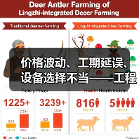 价格波动、工期延误、设备选择不当——工程项目中常遇到的难题,难道你不觉得这些问题困扰着每一个现场管理者吗?其实,选择合适的装载机租赁方案,尤其是理解不同铲斗的差(图3) 价格波动、工期延误、设备选择不当——工程项目中常遇到的难题,难道你不觉得这些问题困扰着每一个现场管理者吗?其实,选择合适的装载机租赁方案,尤其是理解不同铲斗的差(图3)