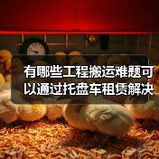 有哪些工程搬运难题可以通过托盘车租赁解决?为什么Pallet Truck Rental(托盘车租赁)正成为行业痛点的解药?在我从业多年中,见证过太多企业因设备短(图1) 有哪些工程搬运难题可以通过托盘车租赁解决?为什么Pallet Truck Rental(托盘车租赁)正成为行业痛点的解药?在我从业多年中,见证过太多企业因设备短(图1)