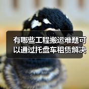 有哪些工程搬运难题可以通过托盘车租赁解决?为什么Pallet Truck Rental(托盘车租赁)正成为行业痛点的解药?在我从业多年中,见证过太多企业因设备短(图3) 有哪些工程搬运难题可以通过托盘车租赁解决?为什么Pallet Truck Rental(托盘车租赁)正成为行业痛点的解药?在我从业多年中,见证过太多企业因设备短(图3)