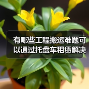 有哪些工程搬运难题可以通过托盘车租赁解决?为什么Pallet Truck Rental(托盘车租赁)正成为行业痛点的解药?在我从业多年中,见证过太多企业因设备短(图4) 有哪些工程搬运难题可以通过托盘车租赁解决?为什么Pallet Truck Rental(托盘车租赁)正成为行业痛点的解药?在我从业多年中,见证过太多企业因设备短(图4)