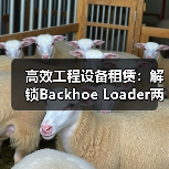 高效工程设备租赁:解锁Backhoe Loader两头忙的多功能差异化优势(图1) 高效工程设备租赁:解锁Backhoe Loader两头忙的多功能差异化优势(图1)