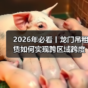2026年必看丨龙门吊租赁如何实现跨区域跨度差异化优势(图1) 2026年必看丨龙门吊租赁如何实现跨区域跨度差异化优势(图1)