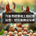 汽车吊租赁与工程起重设备:臂长差异化带来的全新竞争力(图4) 汽车吊租赁与工程起重设备:臂长差异化带来的全新竞争力(图4)
