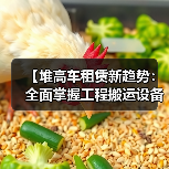 【堆高车租赁新趋势：全面掌握工程搬运设备租赁的升降差异化】（图2）