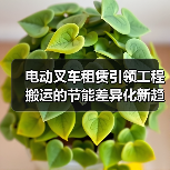电动叉车租赁引领工程搬运的节能差异化新趋势(图1) 电动叉车租赁引领工程搬运的节能差异化新趋势(图1)