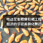 电动叉车租赁引领工程搬运的节能差异化新趋势(图4) 电动叉车租赁引领工程搬运的节能差异化新趋势(图4)