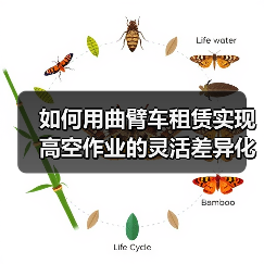 如何用曲臂车租赁实现高空作业的灵活差异化优势（图4）