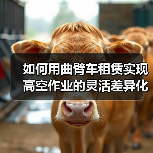 如何用曲臂车租赁实现高空作业的灵活差异化优势（图2）
