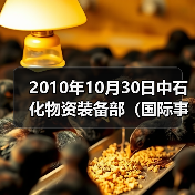 2010年10月30日中石化物资装备部（国际事业公司）副总工程师兼点工程（图2）