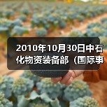2010年10月30日中石化物资装备部（国际事业公司）副总工程师兼点工程（图3）