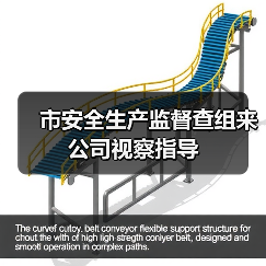 市安全生产监督查组来公司视察指导(图2) 市安全生产监督查组来公司视察指导(图2)