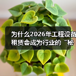 为什么2026年工程设备租赁会成为行业的“秘密武器”?在建筑、仓储、制造等行业,设备租赁已不再是简单的临时需求,而是一场深藏的变革。尤其是托盘车租赁(Palle(图2) 为什么2026年工程设备租赁会成为行业的“秘密武器”?在建筑、仓储、制造等行业,设备租赁已不再是简单的临时需求,而是一场深藏的变革。尤其是托盘车租赁(Palle(图2)