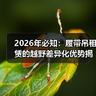 2026年必知：履带吊租赁的越野差异化优势揭秘（图1）