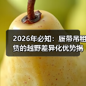 2026年必知：履带吊租赁的越野差异化优势揭秘（图3）