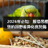 2026年必知：履带吊租赁的越野差异化优势揭秘（图2）