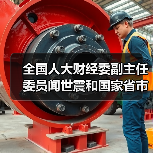 全国人大财经委副主任委员闻世震和国家省市领导一行到公司视察（图4）