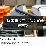认识新《工会法》的重要意义(图2) 认识新《工会法》的重要意义(图2)