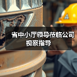 省中小厅领导莅临公司视察指导(图2) 省中小厅领导莅临公司视察指导(图2)