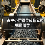 省中小厅领导莅临公司视察指导(图3) 省中小厅领导莅临公司视察指导(图3)