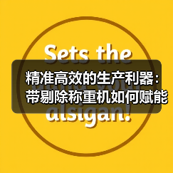 精准高效的生产利器：带剔除称重机如何赋能现代生产线（图2）