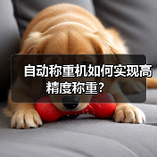 自动称重机如何实现高精度称重?(图1) 自动称重机如何实现高精度称重?(图1)