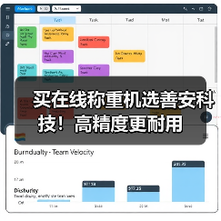买在线称重机选善安科技！高精度更耐用（图1）