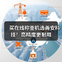 买在线称重机选善安科技！高精度更耐用（图4）