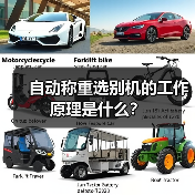 自动称重选别机的工作原理是什么？（图4）