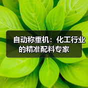 自动称重机：化工行业的精准配料专家（图4）