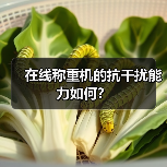 在线称重机的抗干扰能力如何?(图3) 在线称重机的抗干扰能力如何?(图3)
