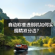 自动称重选别机如何实现精准分选?(图3) 自动称重选别机如何实现精准分选?(图3)