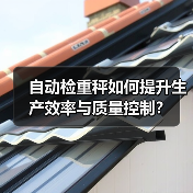 自动检重秤如何提升生产效率与质量控制?(图1) 自动检重秤如何提升生产效率与质量控制?(图1)