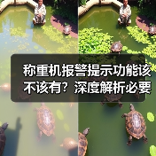 称重机报警提示功能该不该有?深度解析必要性(图4) 称重机报警提示功能该不该有?深度解析必要性(图4)