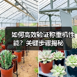 如何高效验证称重机性能?关键步骤揭秘(图2) 如何高效验证称重机性能?关键步骤揭秘(图2)