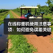 在线称重机使用注意事项:如何避免误差关键点(图4) 在线称重机使用注意事项:如何避免误差关键点(图4)