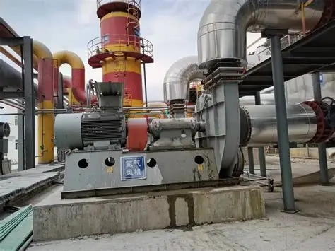 resized-OIP-C (1).webp