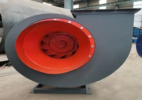 resized-OIP-C (2).webp