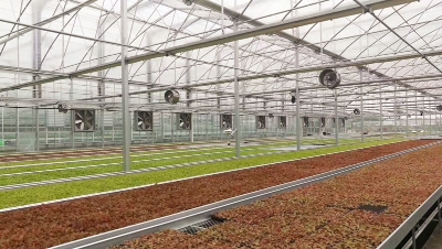 农业温室大棚环流节能风机